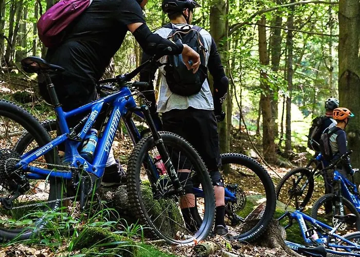 Zloty Horyzont فندق 4*