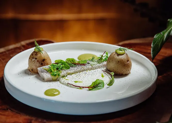 Zloty Horyzont شكلارسكا بوريبا